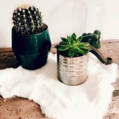 Maison Thuret - Peau De Lapin Blanc