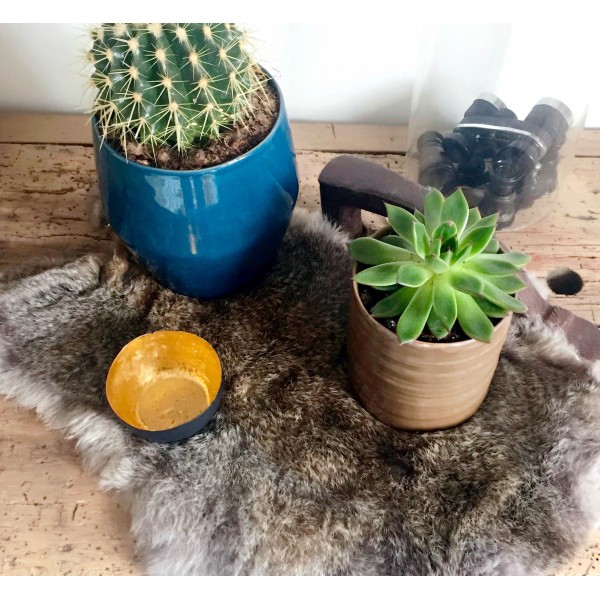 Maison Thuret - Peau De Lapin Marron-Gris