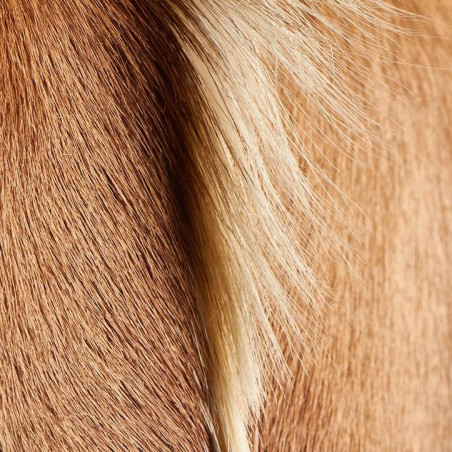 Pouf Springbok