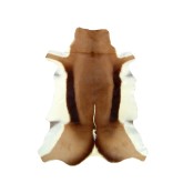 Natural Springbok Skin