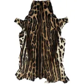 luipaard springbok gazellehuid