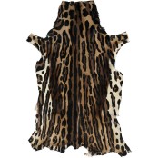 Leopard Springbok Skin