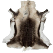 Lapland Reindeer Skin