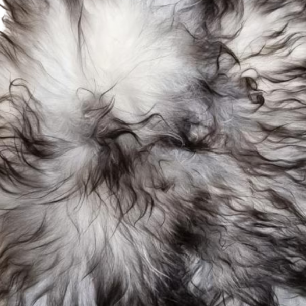 Maison Thuret - Heather Gray Icelandic Sheepskin