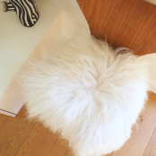 Maison Thuret - Galette De Chaise En Peau De Mouton Islandais Blanc (Ronde Ou Carrée)