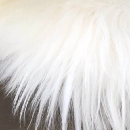 Coussin en peau de Mouton Islandais blanc