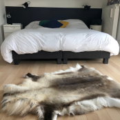 Maison Thuret - Lapland Rendierhuid