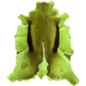 Springbok Gazelle-huid