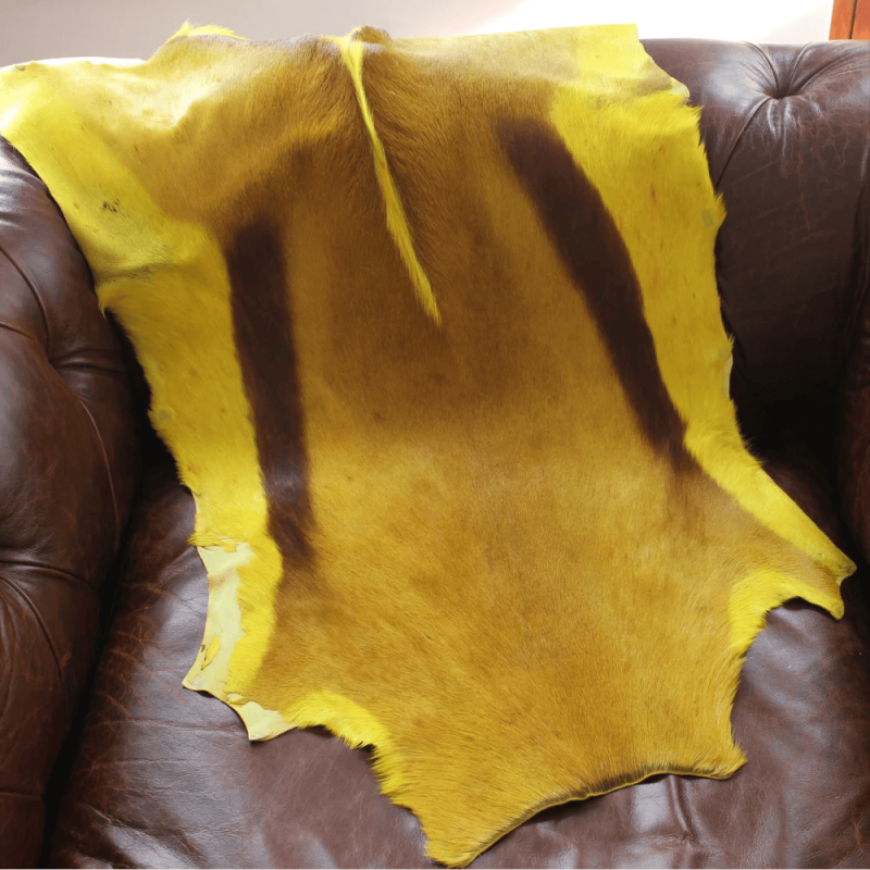 Peau de Gazelle Springbok