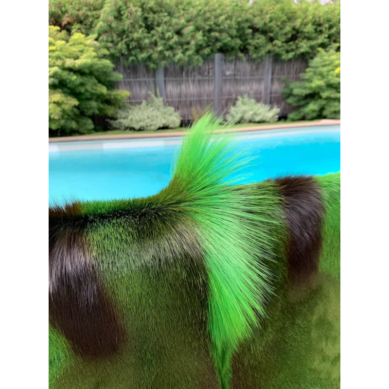 Peau de Gazelle Springbok