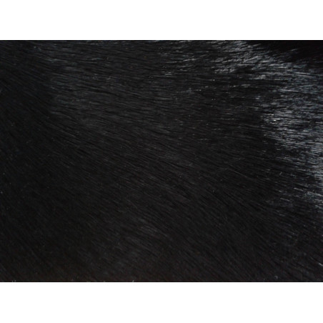 Pouf Teinté Noir 