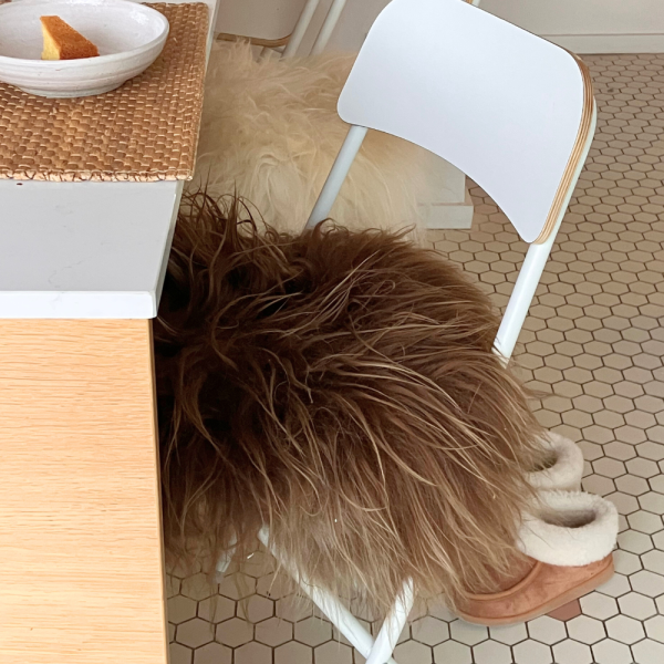 Maison Thuret - Galette De Chaise En Peau De Mouton Islandais Marron