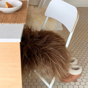 Maison Thuret - Galette De Chaise En Peau De Mouton Islandais Marron