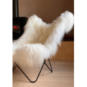 Commande M TABACHNIK