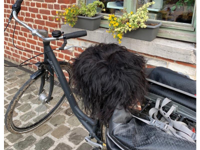 5 bonnes raisons d’opter pour une selle de vélo en peau de mouton