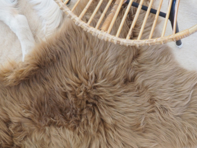 Où installer un tapis peau de mouton grand format ?